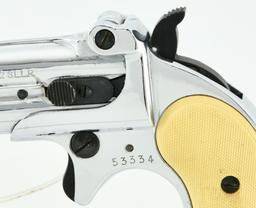 RG-15 Double Barrel Derringer .22 LR