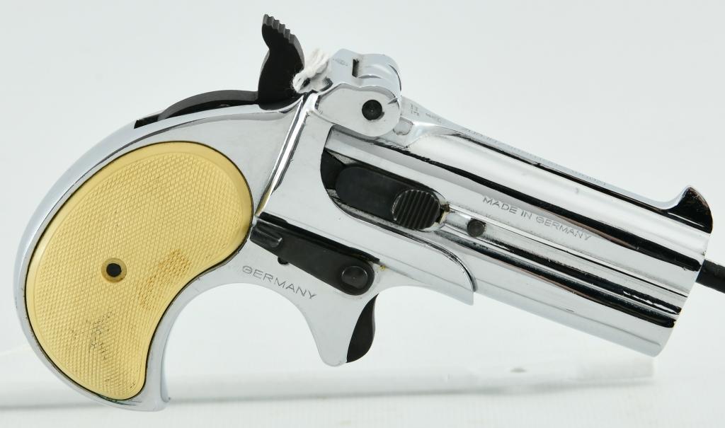 RG-15 Double Barrel Derringer .22 LR