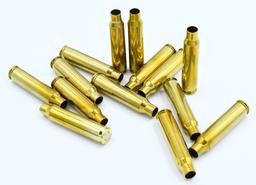 312 Count of Empty .223 Rem Brass Casings