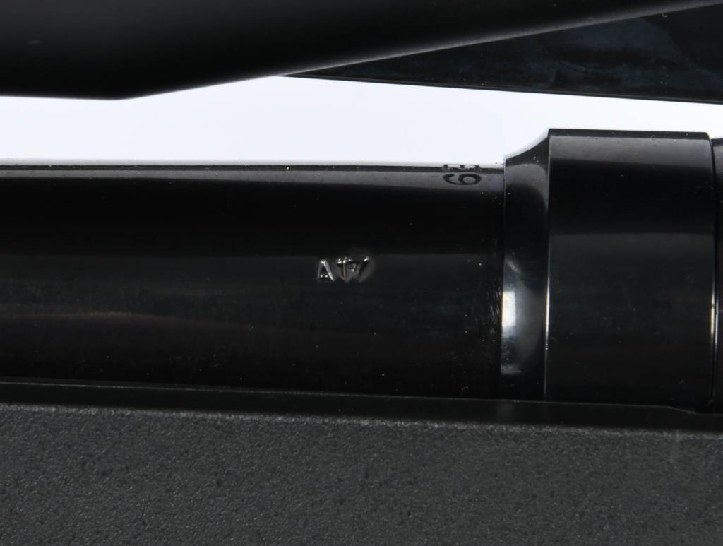 Savage A17 Semi-Auto Rifle .17 HMR