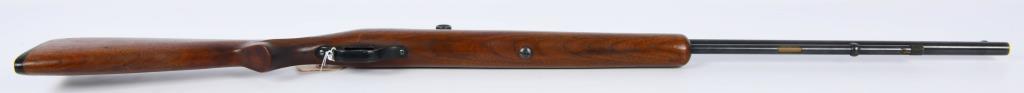 Savage Model 6A Semi Auto Rifle .22 S, L, LR