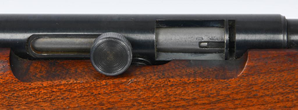 Savage Model 6A Semi Auto Rifle .22 S, L, LR