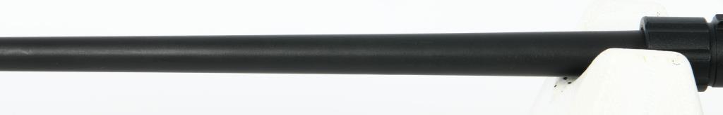 Henry U.S. Survival Takedown Rifle .22 LR