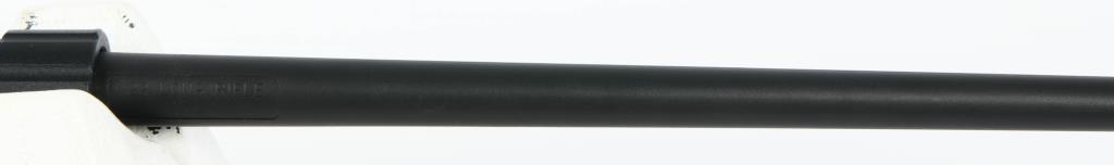 Henry U.S. Survival Takedown Rifle .22 LR