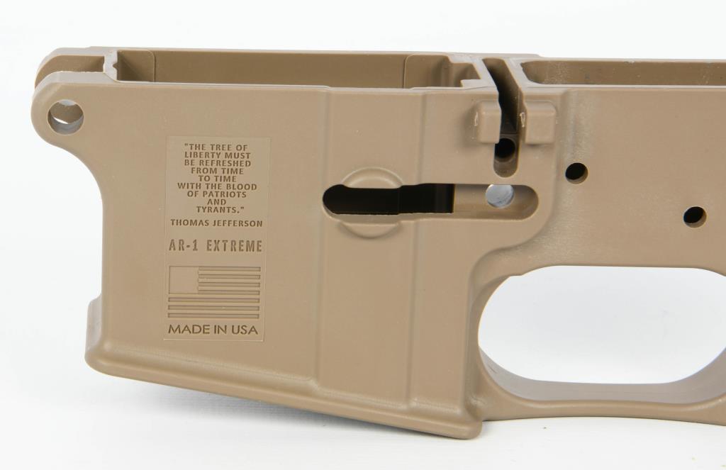 FMK AR1 Extreme Stripped Lower Polymer FDE