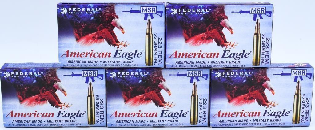 100 Rounds of Federal 5.56 X 45 NATO Ammunition