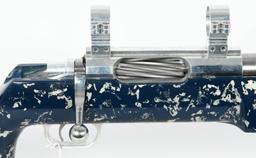 Stolle Panda F Class Competition Rifle 6.5X284