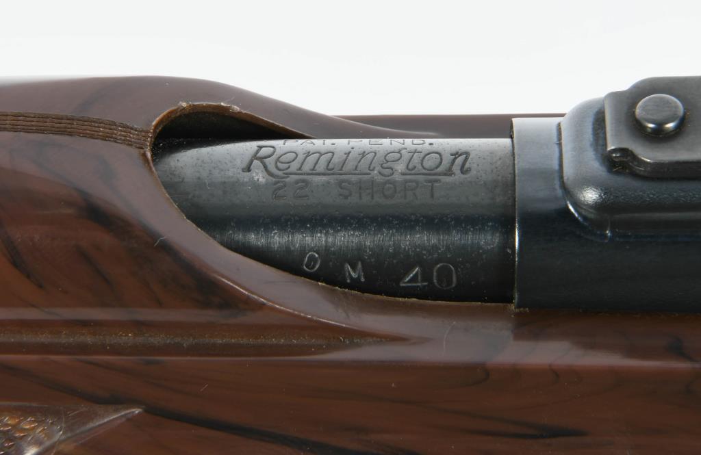 Rare Remington Nylon 66 Gallery Model .22 Short