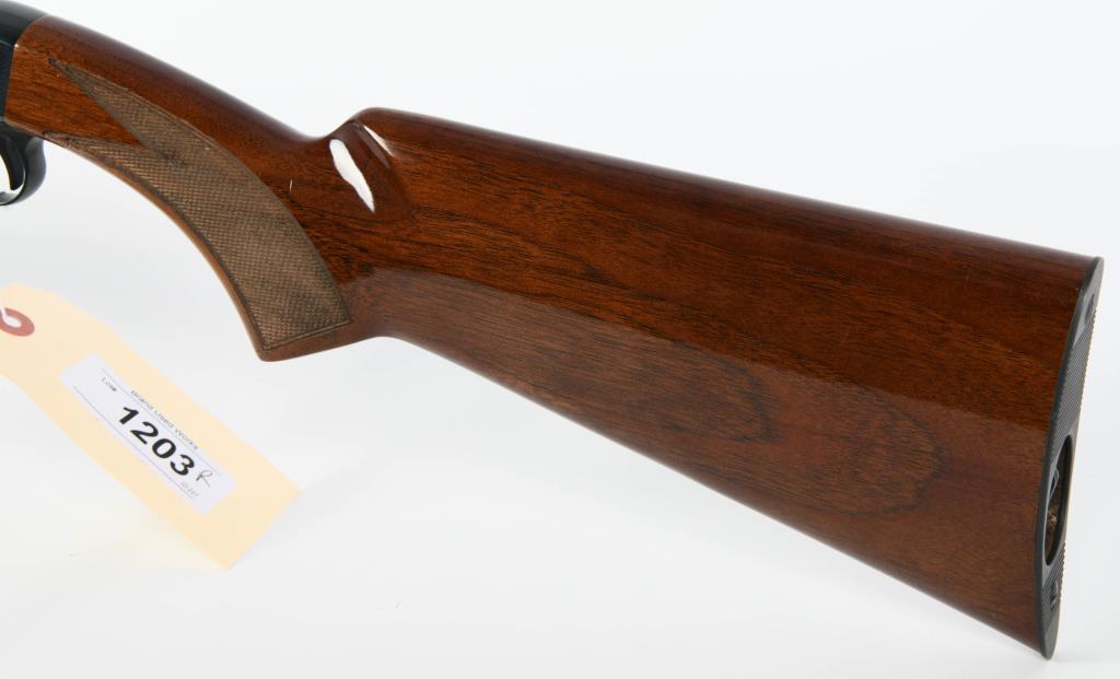 Browning SA-22 Takedown Rifle .22 LR
