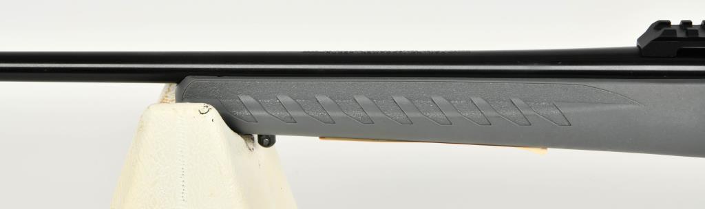 Ruger 10/22 Collector Series Dark Gray Carbine .22