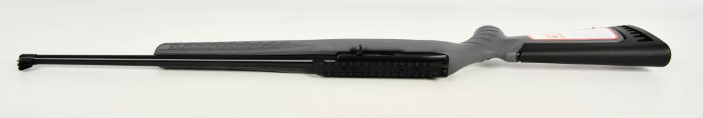 Ruger 10/22 Collector Series Dark Gray Carbine .22