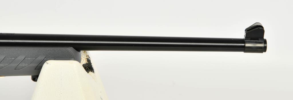 Ruger 10/22 Collector Series Dark Gray Carbine .22