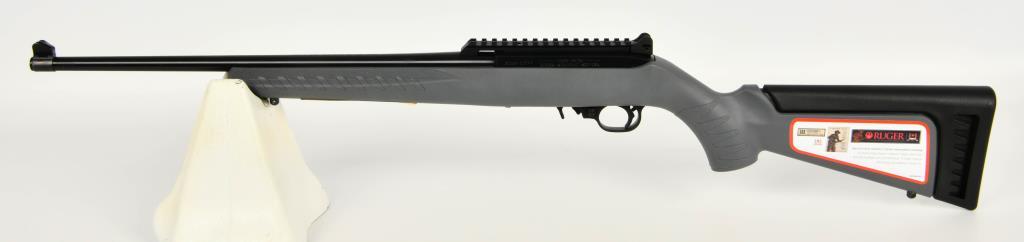 Ruger 10/22 Collector Series Dark Gray Carbine .22