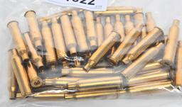 40 Count of .225 Win Empty Brass Casings