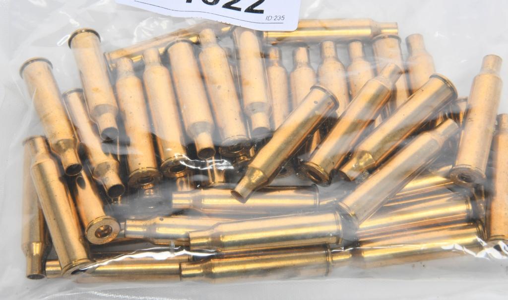 40 Count of .225 Win Empty Brass Casings