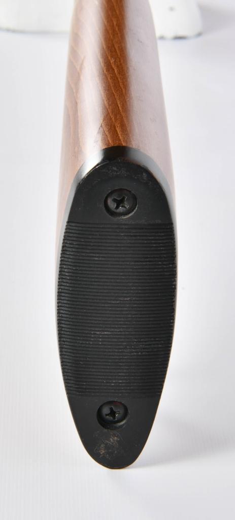New Rossi Gallery .22 LR Pump Action Rifle