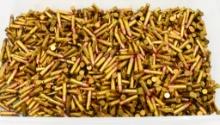 1000 Rounds Of CCI Mini Mag .22 LR Ammo