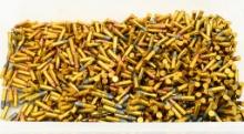 1000 Rounds Mixed .22 LR Ammunition