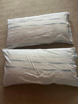 2 King Size Pillows with 2 Pillow Cases
