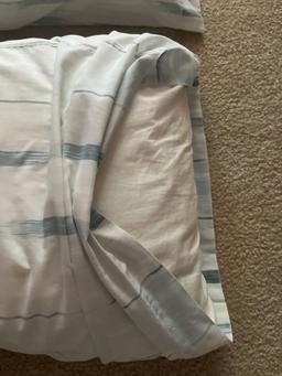 2 King Size Pillows with 2 Pillow Cases
