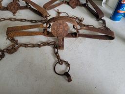 3 Metal Snare Traps