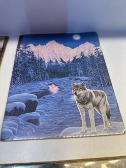 Four 8 x 10 Fox Prints On Cardboard Back