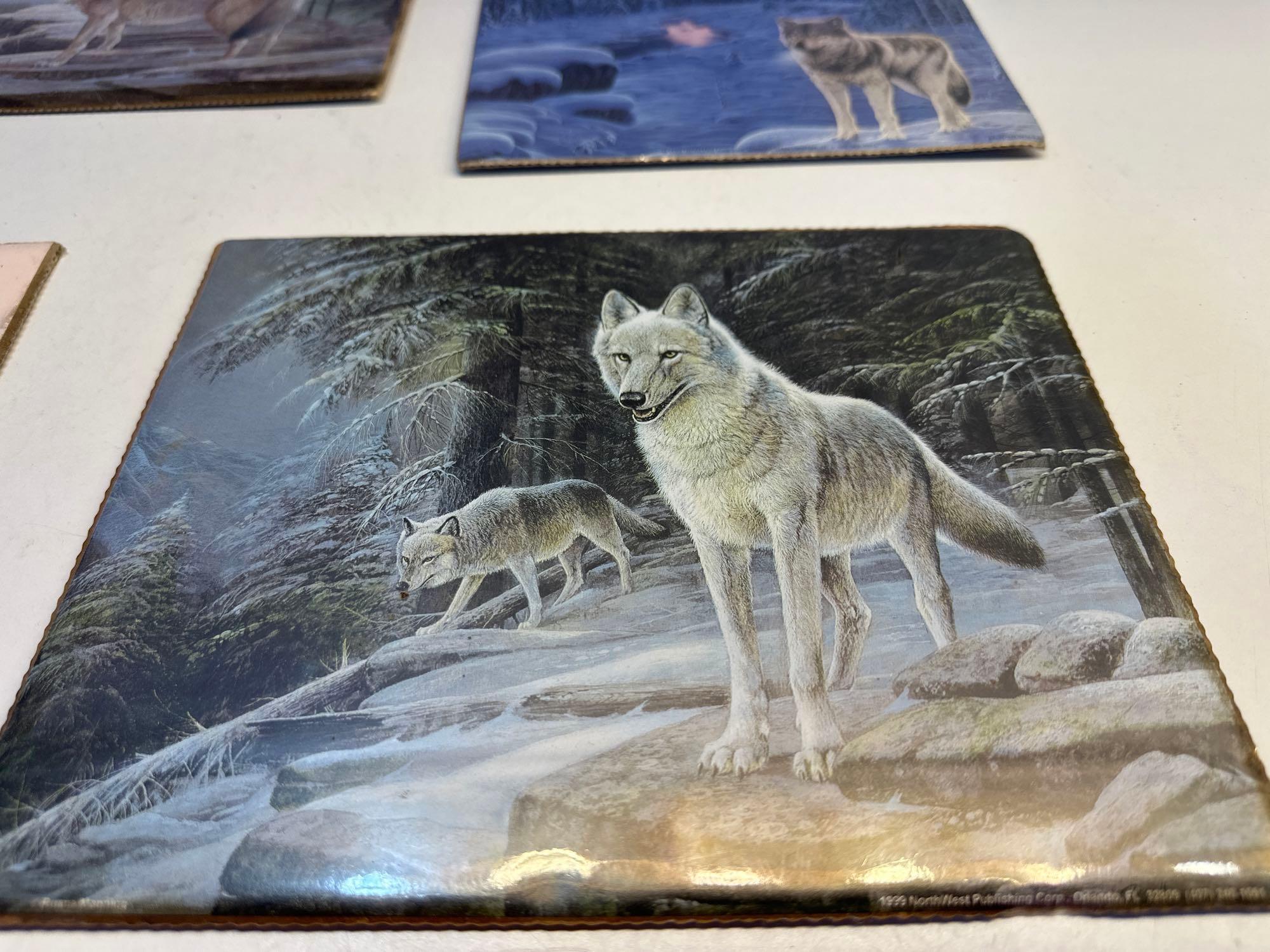 Four 8 x 10 Fox Prints On Cardboard Back