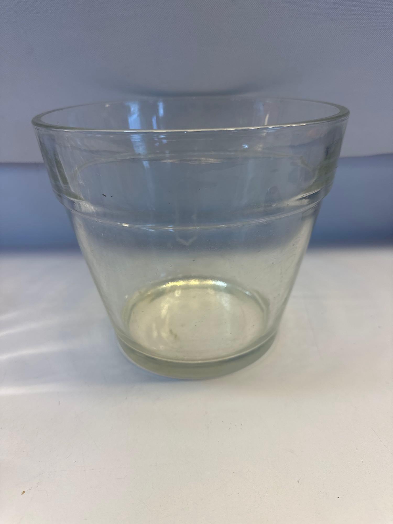 Decorative Glass Pitcher/ Glass Planter