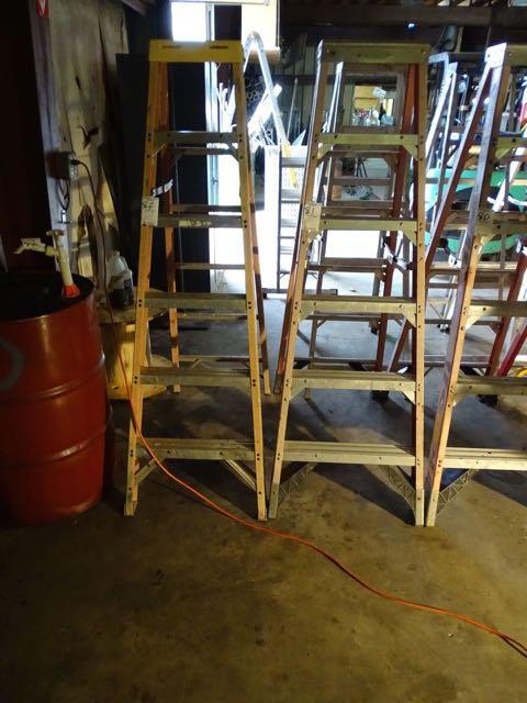WERNER 6’ STEP LADDER