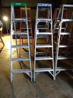 WERNER 6’ STEP LADDER