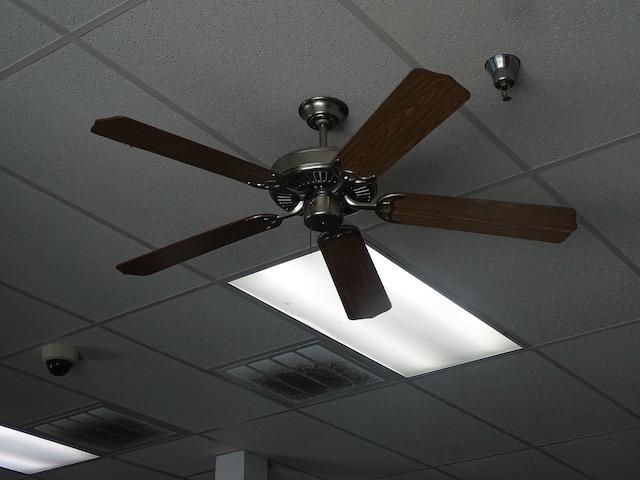 CEILING FAN