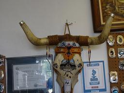 PAINTED SCULL