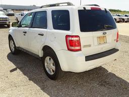 2010 FORD ESCAPE XLT