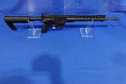 DAVIDSON DEFENSE 300 BLACKOUT MOD: DD-15 16” COLLAPSABLE STOCK, NO MAG, S/N: A006208