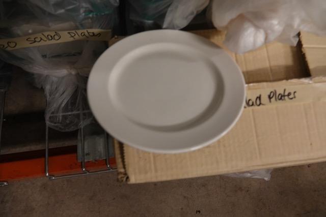 SALAD PLATES APPROX 340 X1