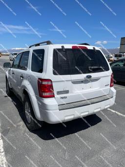2008 FORD ESCAPE AWD