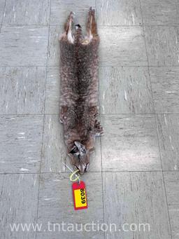 BOBCAT PELT
