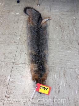FOX PELT