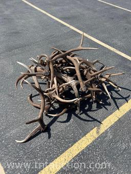 MISC ELK ANTLERS