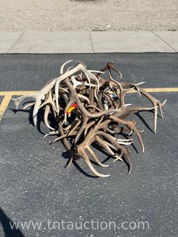 MISC ELK ANTLERS