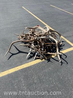 MISC ELK ANTLERS