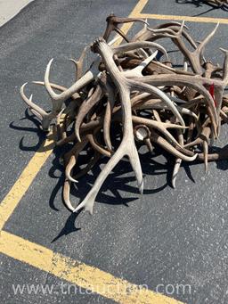 MISC ELK ANTLERS