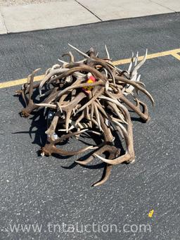 MISC ELK ANTLERS
