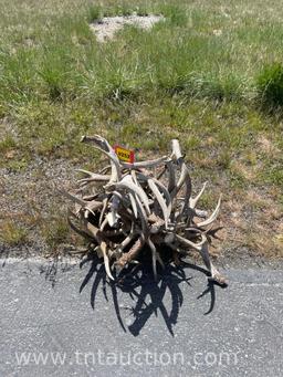 MISC DEER ANTLERS