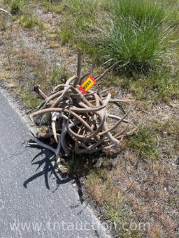 MISC DEER ANTLERS