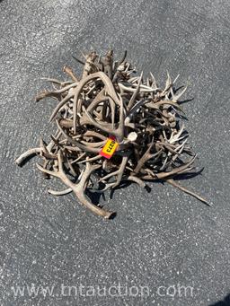 MISC DEER ANTLERS