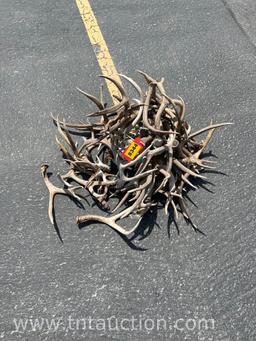 MISC DEER ANTLERS