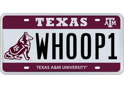 WHOOP 1