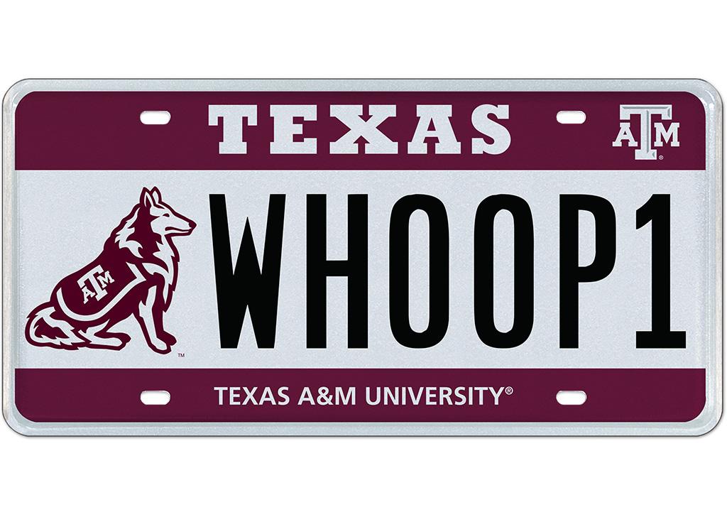 WHOOP 1