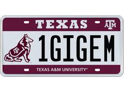IGIGEM